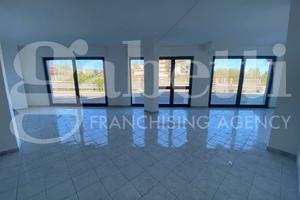 Negozio Napoli [MLF49ACG]