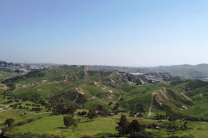 Terreno agricolo fruttifero con uliveto - 5 ettari