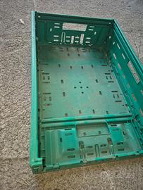 Cassettine ortofrutta