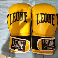 Guantoni boxe leone
