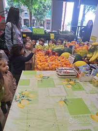 Venendo attività frutta e verdura ben avviata in v