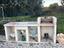 Immagine 21