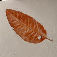 Quadri resina e cemento