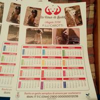 Calendario solidale del canile comunale