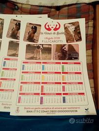 Calendario solidale del canile comunale