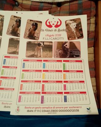 Calendario solidale del canile comunale