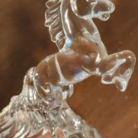 CAVALLINO  CRISTALLO RCR h