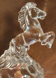 CAVALLINO  CRISTALLO RCR h