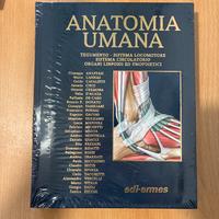 Anatomia Umana Anastasi ultima edizione