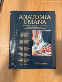 Anatomia Umana Anastasi ultima edizione
