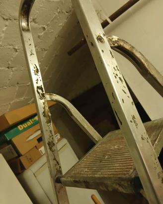 Scala Professionale alluminio