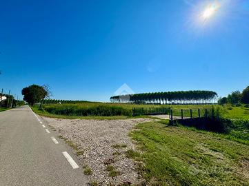 TER. AGRICOLO A SESTO AL REGHENA