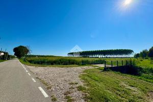 TER. AGRICOLO A SESTO AL REGHENA