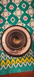 Canon EF-S 18-135mm 