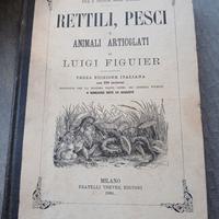 RETTILI, PESCI E ANIMALI ARTICOLATI, Ed. F.lli Tre