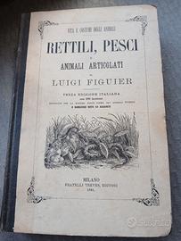 RETTILI, PESCI E ANIMALI ARTICOLATI, Ed. F.lli Tre