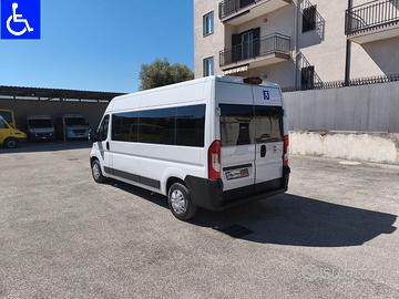 Fiat Ducato Maxi – 9 Posti Trasporto Disabili