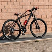 Mountain Bike 29