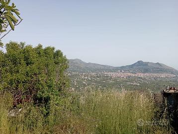 Casetta con terreno alberato