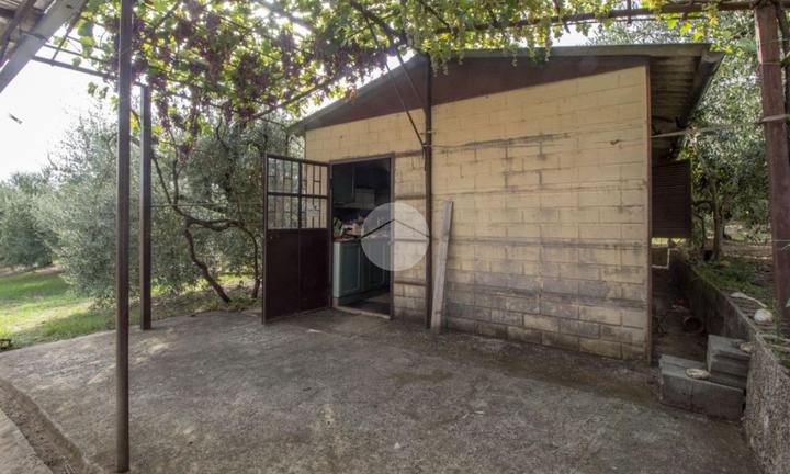 RUSTICO A PALOMBARA SABINA