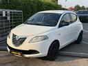 lancia-ypsilon-1-2-69-cv-5-porte-elefantino-gara