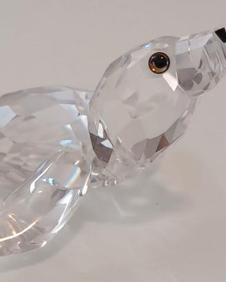 SWAROVSKI FOCA