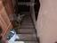 Immagine 12