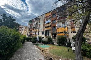 Via Girolamo Vitelli