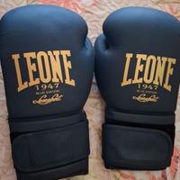 Protezioni box/kickboxing