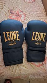 Protezioni box/kickboxing