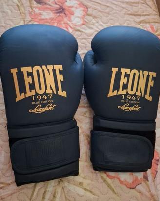 Protezioni box/kickboxing