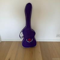 Chitarra elettrica per ragazzi e amplificatore
