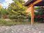 Immagine 14