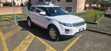 Range Rover Evoque 2.2 Td4 Pure 150 cv