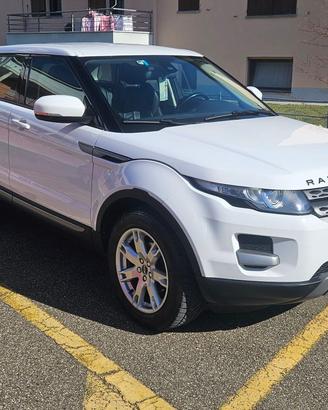 Range Rover Evoque 2.2 Td4 Pure 150 cv Mot.Ford