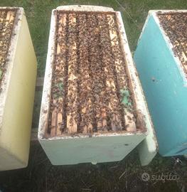 Nuclei api - pronti per la produzione