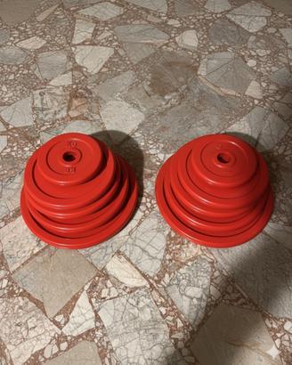 Coppia Set Dischi Ghisa (40kg totali) - Come Nuovi