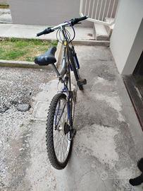 bicicletta Mountain bike