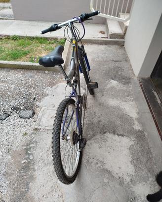 bicicletta Mountain bike