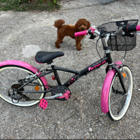 bicicletta
