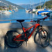 Mtb remedy 9 full 27.5 L