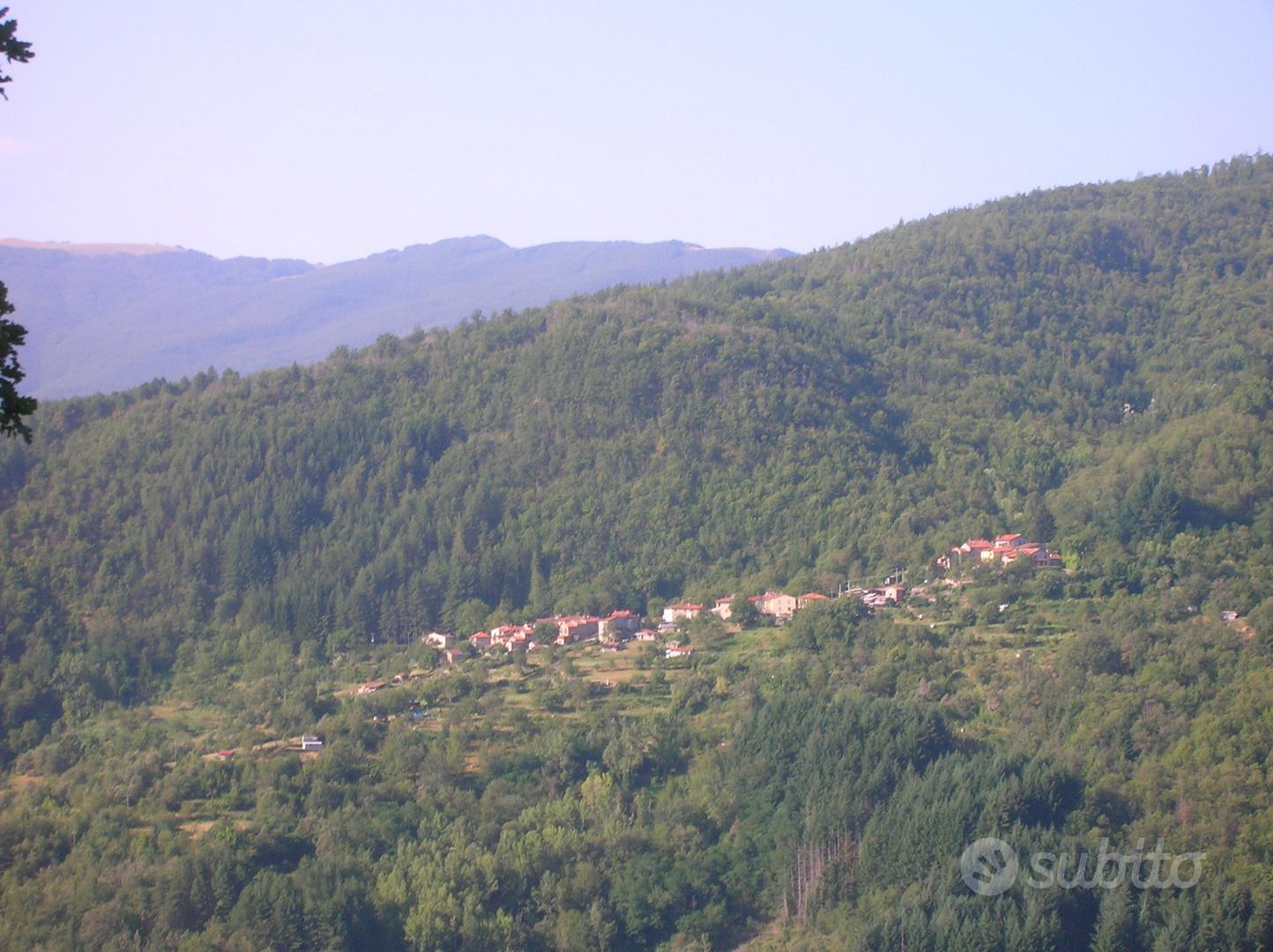 Colonica in casentino - Vista 4