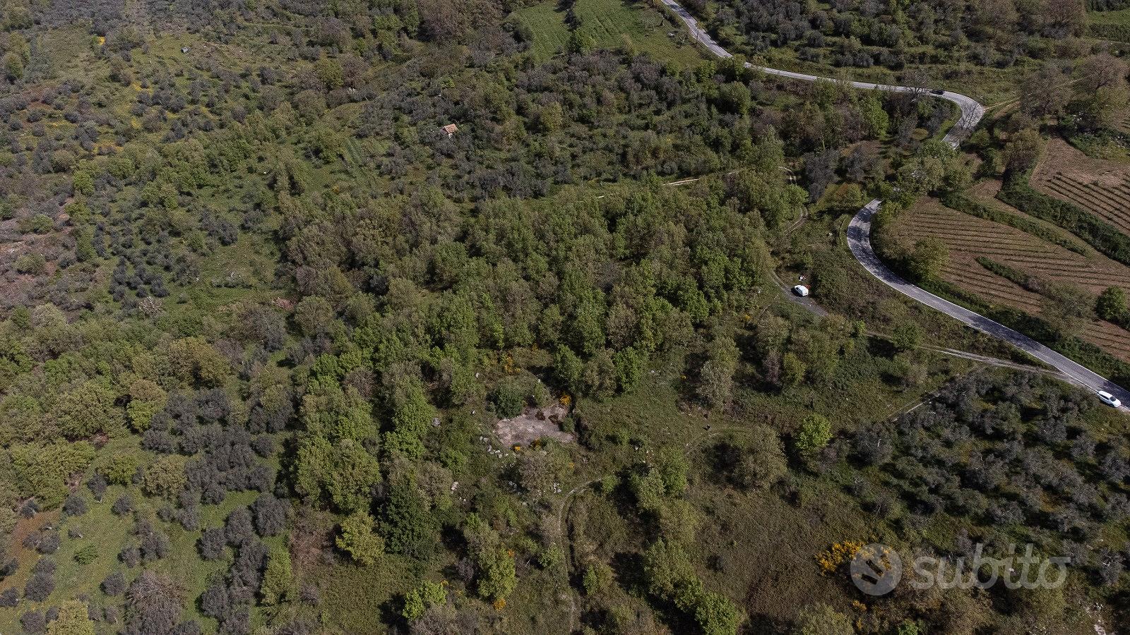 Terreno agricolo a Roccamorfina (CE) - Altro