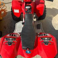 Quad polaris elettrico