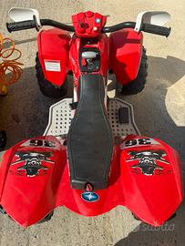 Quad polaris elettrico