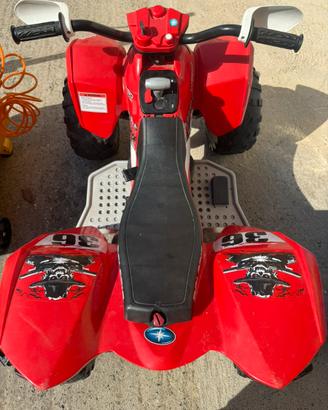 Quad polaris elettrico