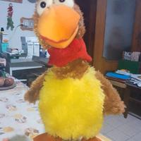 Gallo musicale che balla con batterie