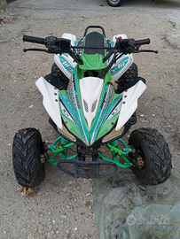 Quad ncx 125