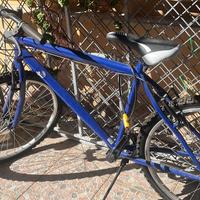 Bici della baci perugina