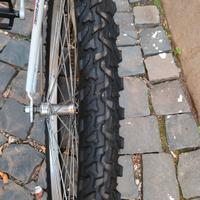 Bicicletta Atala donna